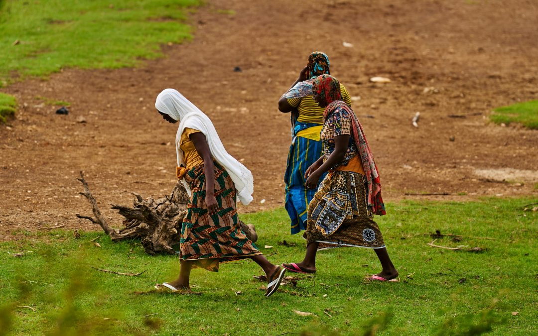 Comenzamos “OASIS: Nutrición y Futuro en Turkana”